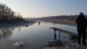 Fish harvest in a pond