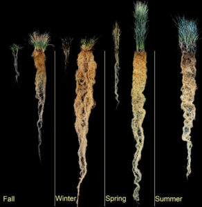 4 seasons annual and perennial crops