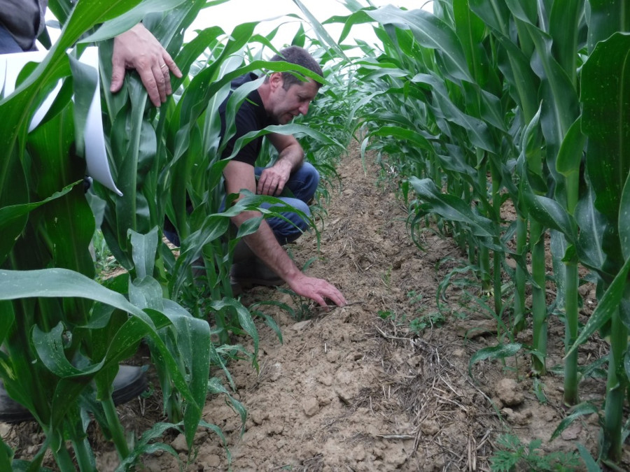 formation agriculture bio avec Isara Conseil