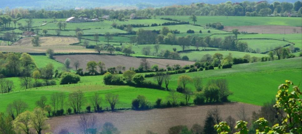 Watershed landscape