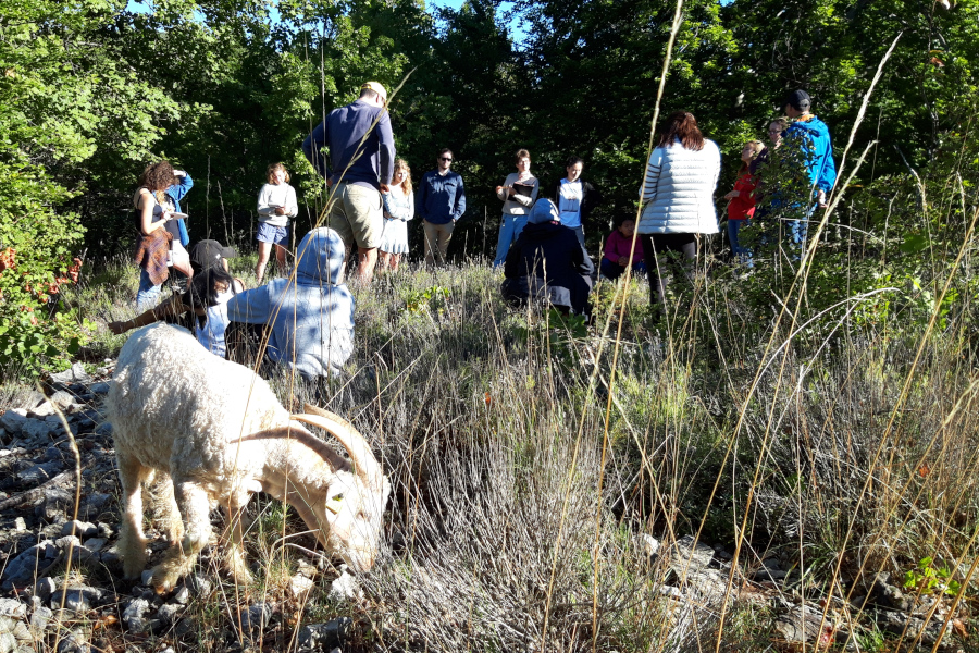 Field trip with students