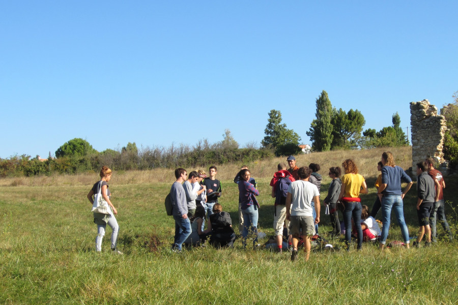 MSc Agroecology